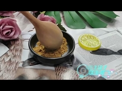 Nuciferine Lotus Leaf Extract Powder Supplement Halal Kosher