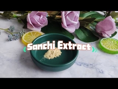 Sanchi Panax Notoginseng-Wurzextrakt