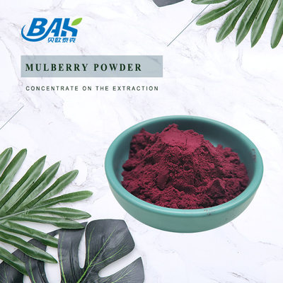 Biologische Morus Alba L Mulberry Frucht Lila Pulver Kühl und trocken lagern