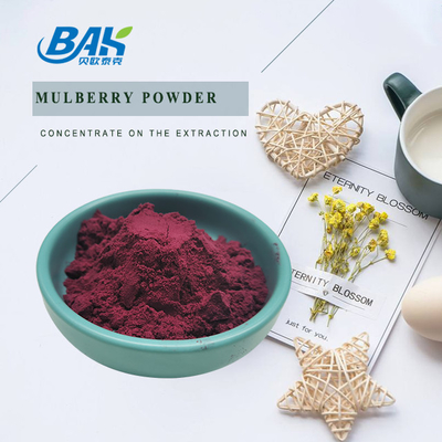 Biologische Morus Alba L Mulberry Frucht Lila Pulver Kühl und trocken lagern