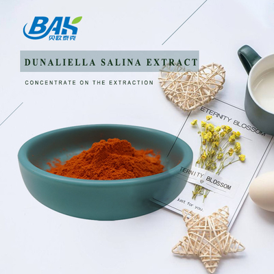 Nahrung ordnen immune Vergrößerungsergänzungen Dunaliella Salina Extract
