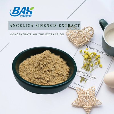 Chinesische Fachfabrik Dang Gui Angelica Sinensis Dong Quai Wurzel Extrakt Pulver Angelica Dahurica Extrakt