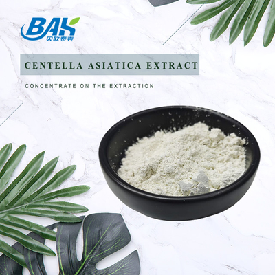 TECA Natural Cosmetic Ingredients Gotu Kola-Extraktpulver