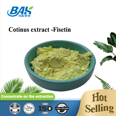 ERGÄNZUNGS-Pulver Cotinus-Auszug Fisetin CASs 528-48-3 pulverisieren Nähr10% - 98%