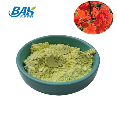 ERGÄNZUNGS-Pulver Cotinus-Auszug Fisetin CASs 528-48-3 pulverisieren Nähr10% - 98%