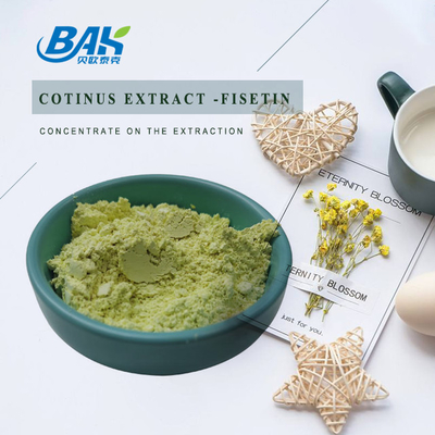 ERGÄNZUNGS-Pulver Cotinus-Auszug Fisetin CASs 528-48-3 pulverisieren Nähr10% - 98%