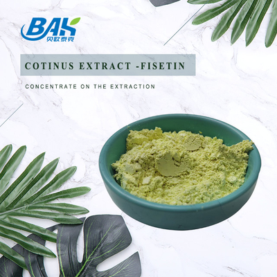 ERGÄNZUNGS-Pulver Cotinus-Auszug Fisetin CASs 528-48-3 pulverisieren Nähr10% - 98%