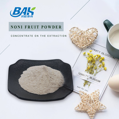 Erhöhen Sie Immunitäts-Obst- und GemüsePulver-Noni Fruit Powders 80 Masche