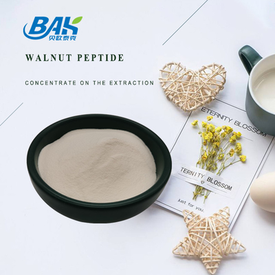 60% 70% Walnuss-Peptid-Protein-Pulver für Medizin und Gesundheits-Produkte