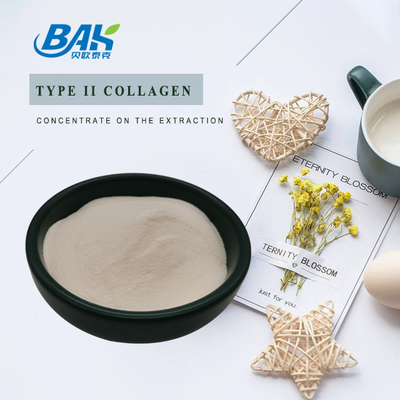 25 % Peptidproteinpulver, Knorpelextrakt, Typ-II-Kollagen