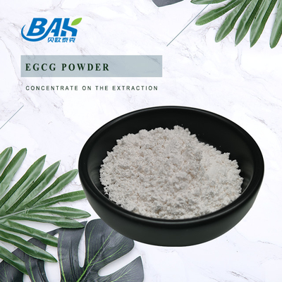 Großhandelsbestand Extrakt aus grünem Tee EGCG CAS NO 989-51-5 Epigallocatechin Gallate 98% Weißpulver