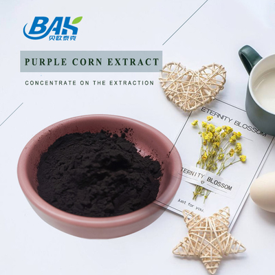 BAK Fabrik Großhandel Anthocyanin 35% Zea Mays Purple Corn Extrakt Dunkelviolettes Pulver
