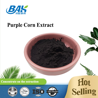 BAK Fabrik Großhandel Anthocyanin 35% Zea Mays Purple Corn Extrakt Dunkelviolettes Pulver