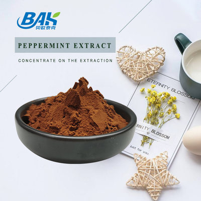 BAK Warm verkaufter Schwarztee-Extrakt rotbraunes Pulver 10% 20% 60% 80%