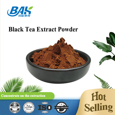 BAK Warm verkaufter Schwarztee-Extrakt rotbraunes Pulver 10% 20% 60% 80%
