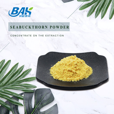 Hippophae-Rhamnoide Linn Seabuckthorn Powder