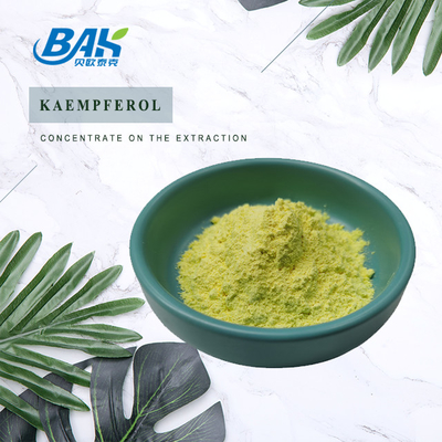 BAK Hochwertige Cas 520-18-3 Immunschutzmittel Kaempferolpulver 50% 90% 98%