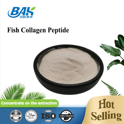 Skala-Haut-Fisch-Kollagen-Peptid hellgelb zu Brown-Pulver 100 Masche 80 40