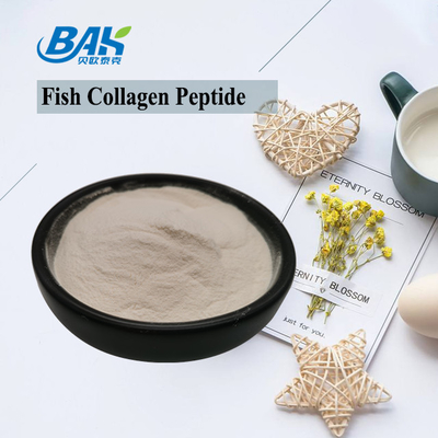 Skala-Haut-Fisch-Kollagen-Peptid hellgelb zu Brown-Pulver 100 Masche 80 40
