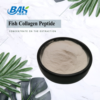 Skala-Haut-Fisch-Kollagen-Peptid hellgelb zu Brown-Pulver 100 Masche 80 40