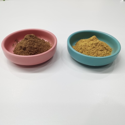 Laktone 6% des Flavon-24% Ginkgo Biloba extrahieren gelbes Brown-Pulver