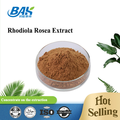 Bio-Nahrungsergänzungsmittel für Männer, Rosavin, 1–10 % Rhodiola Rosea L-Extrakt, rotbraunes Pulver