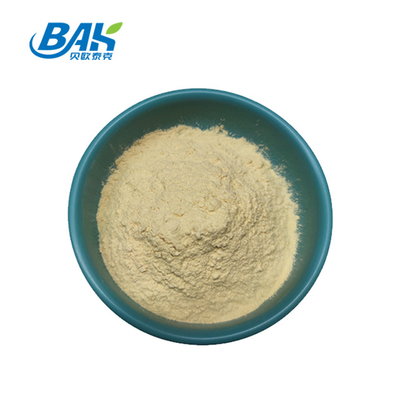 HPLC extrahieren UV-Ginseng-Wurzel Ginsenoside Panax hellgelbes Pulver