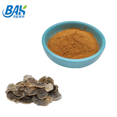 10%-50% Pilz-Auszug-Ergänzungs-Browns Coriolous gelbes Pulver Versicolor