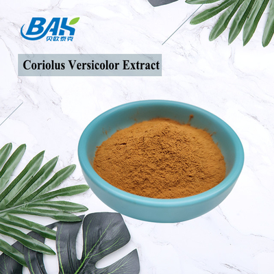 Bio-Coriolus Versicolor Pilzextrakt Ergänzung Braun-gelbes Pulver