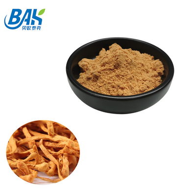 80 bis 120 Mesh Cordyceps Militaris Extraktpulver Fabrik Lieferung