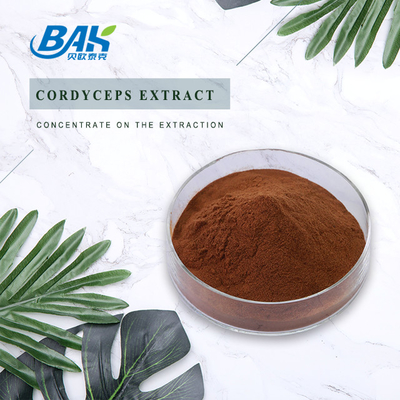 Cordycepin 5 % 10 % 20 % Nahrungsergänzungsmittel für Männer, Cordyceps-Extrakt, braunes Pulver