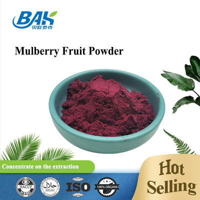 Biologische Morus Alba L Mulberry Frucht Lila Pulver Kühl und trocken lagern