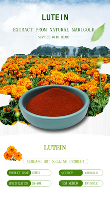 Immunes Vergrößerungsergänzungs-orange rotes Pulver des Lutein-5% 10%