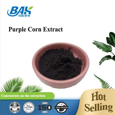 Anthocyanidin-purpurrotes Mais-Auszug-Purpur-rotes feines Pulver5:1-10:120:1