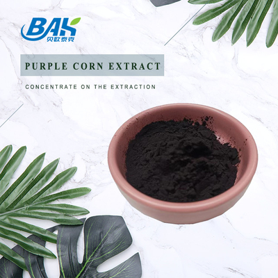 Anthocyanidin-purpurrotes Mais-Auszug-Purpur-rotes feines Pulver5:1-10:120:1