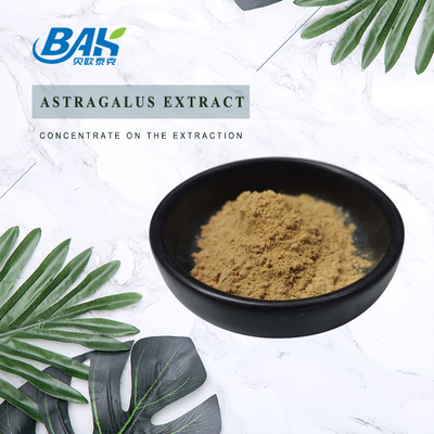 Des Polysaccharid-40% Masche Astragal-Auszug-des Pulver-100% des Durchlauf-80