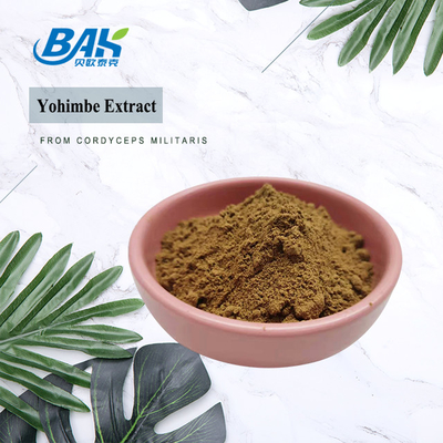 5%-98% Durchlauf 80 Mesh Corynanthe Yohimbe L gelbes Pulver Yohimbe-Auszug-100% Browns