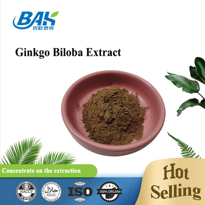Ginkgo Biloba extrahieren Cas 90045-36-6