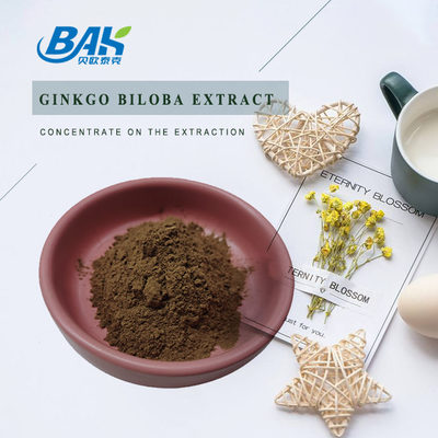 CAS 90045-36-6 Ginkgo Biloba-Extrakt Flavonglycoside 24% Terpene Milchstoffe 6%