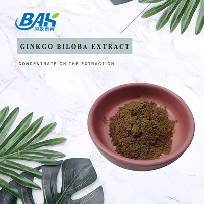 CAS 90045-36-6 Ginkgo Biloba-Extrakt Flavonglycoside 24% Terpene Milchstoffe 6%