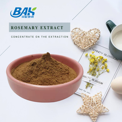 HPLC Rosemary Extract Sleep Enhancing Supplement 5%-98%