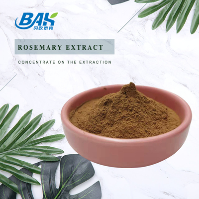 HPLC Rosemary Extract Sleep Enhancing Supplement 5%-98%