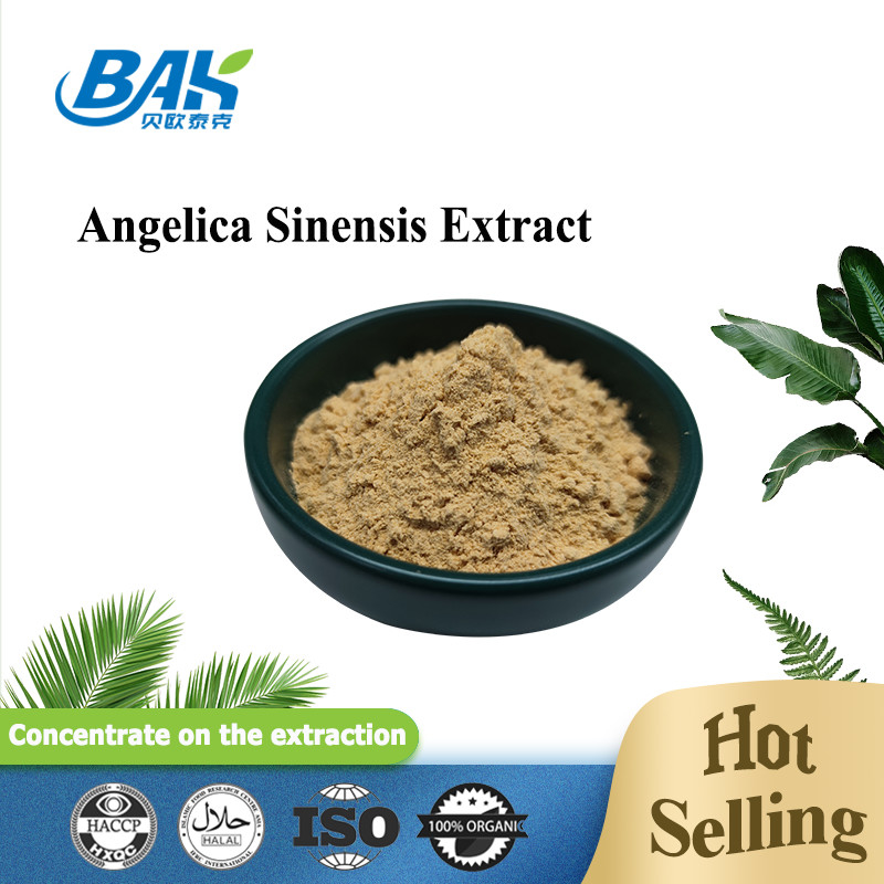 Chinesische Fachfabrik Dang Gui Angelica Sinensis Dong Quai Wurzel Extrakt Pulver Angelica Dahurica Extrakt