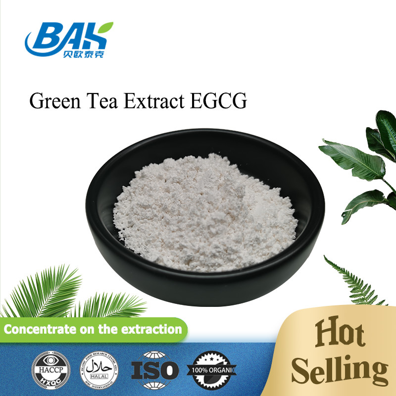 Großhandelsbestand Extrakt aus grünem Tee EGCG CAS NO 989-51-5 Epigallocatechin Gallate 98% Weißpulver