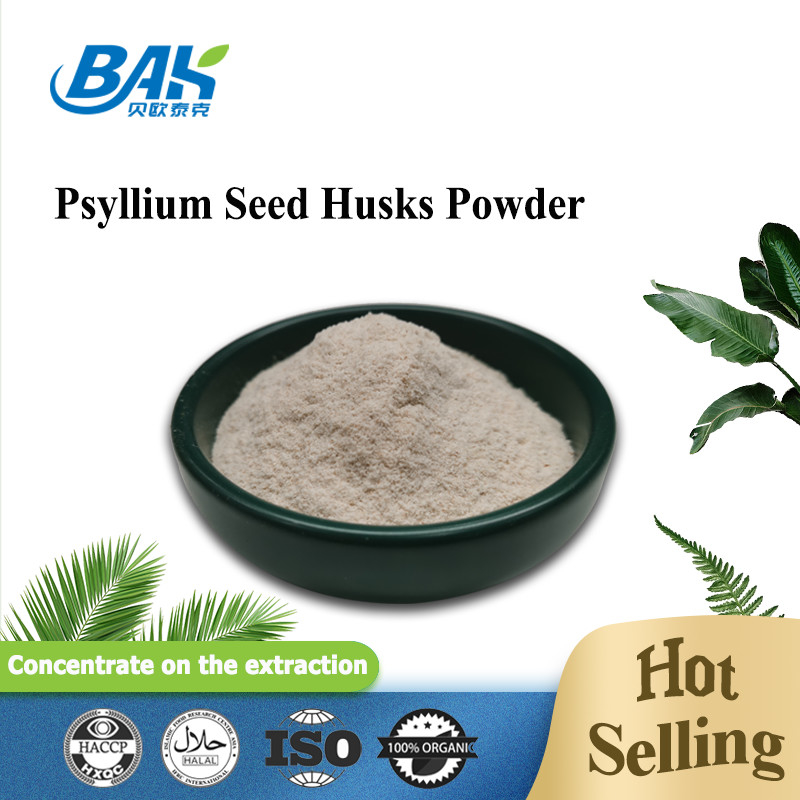 Plantago Ovata-Psyllium-Samen schält Gewichtsverlust-Ergänzung pulverisieren Masche 95% Durchlauf-80