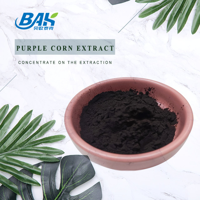 BAK Fabrik Großhandel Anthocyanin 35% Zea Mays Purple Corn Extrakt Dunkelviolettes Pulver