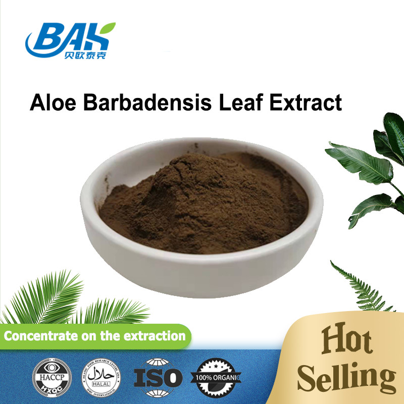 100/1 200/1 feines Pulver Aloe Barbadensis-Blatt-Auszug Cas 85507-69-3 Brown
