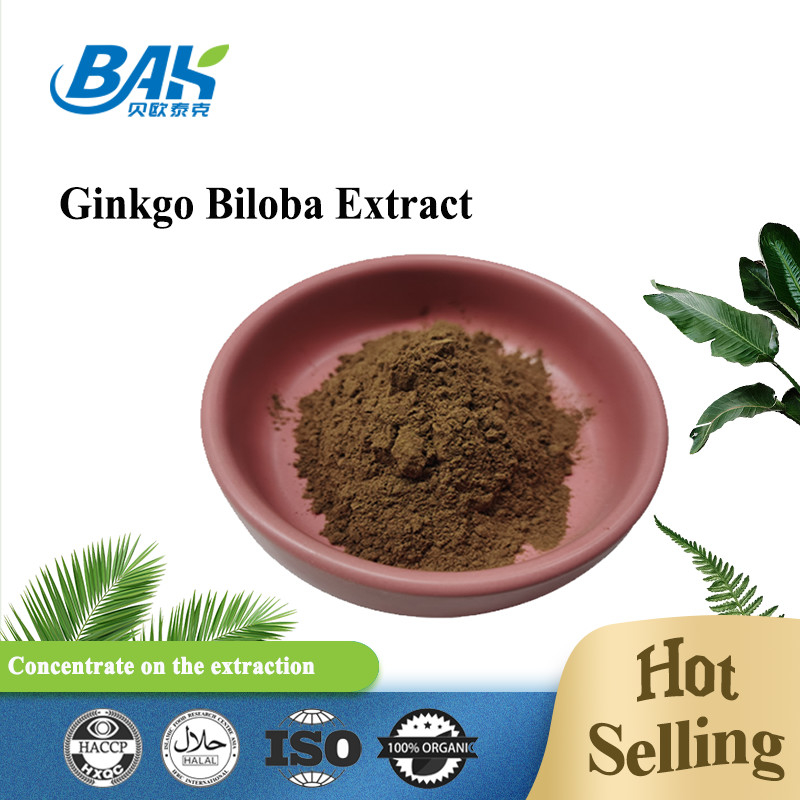 CAS 90045-36-6 Ginkgo Biloba-Extrakt Flavonglycoside 24% Terpene Milchstoffe 6%