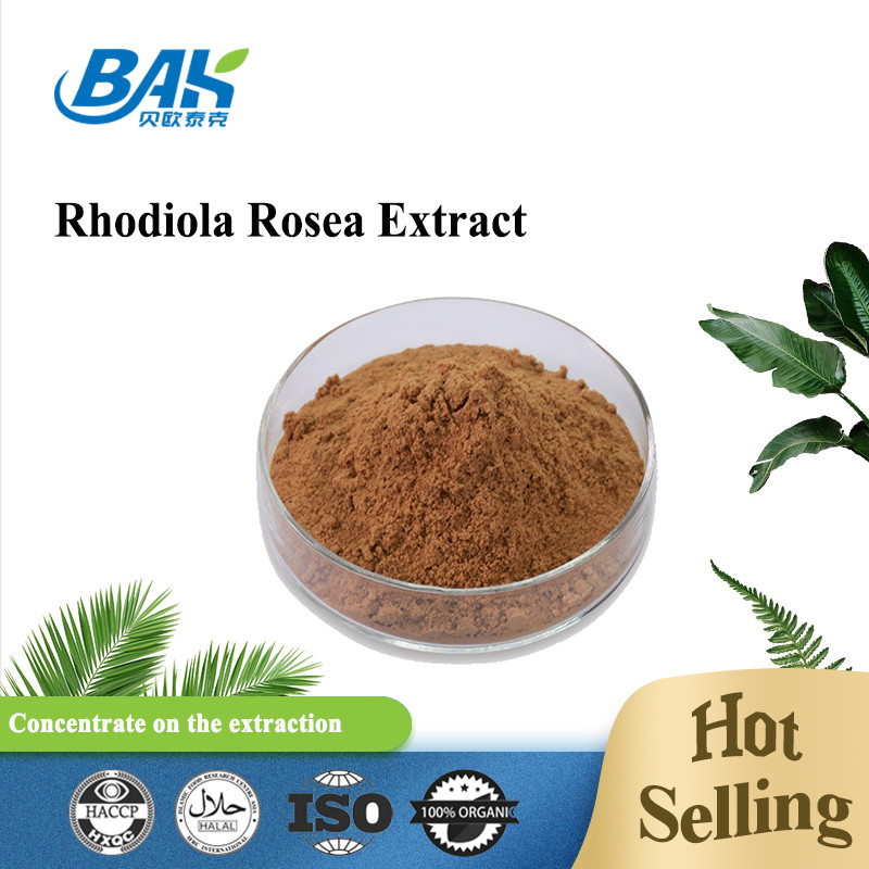 Bio-Nahrungsergänzungsmittel für Männer, Rosavin, 1–10 % Rhodiola Rosea L-Extrakt, rotbraunes Pulver