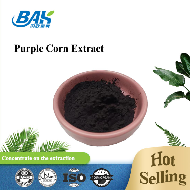Anthocyanidin-purpurrotes Mais-Auszug-Purpur-rotes feines Pulver5:1-10:120:1